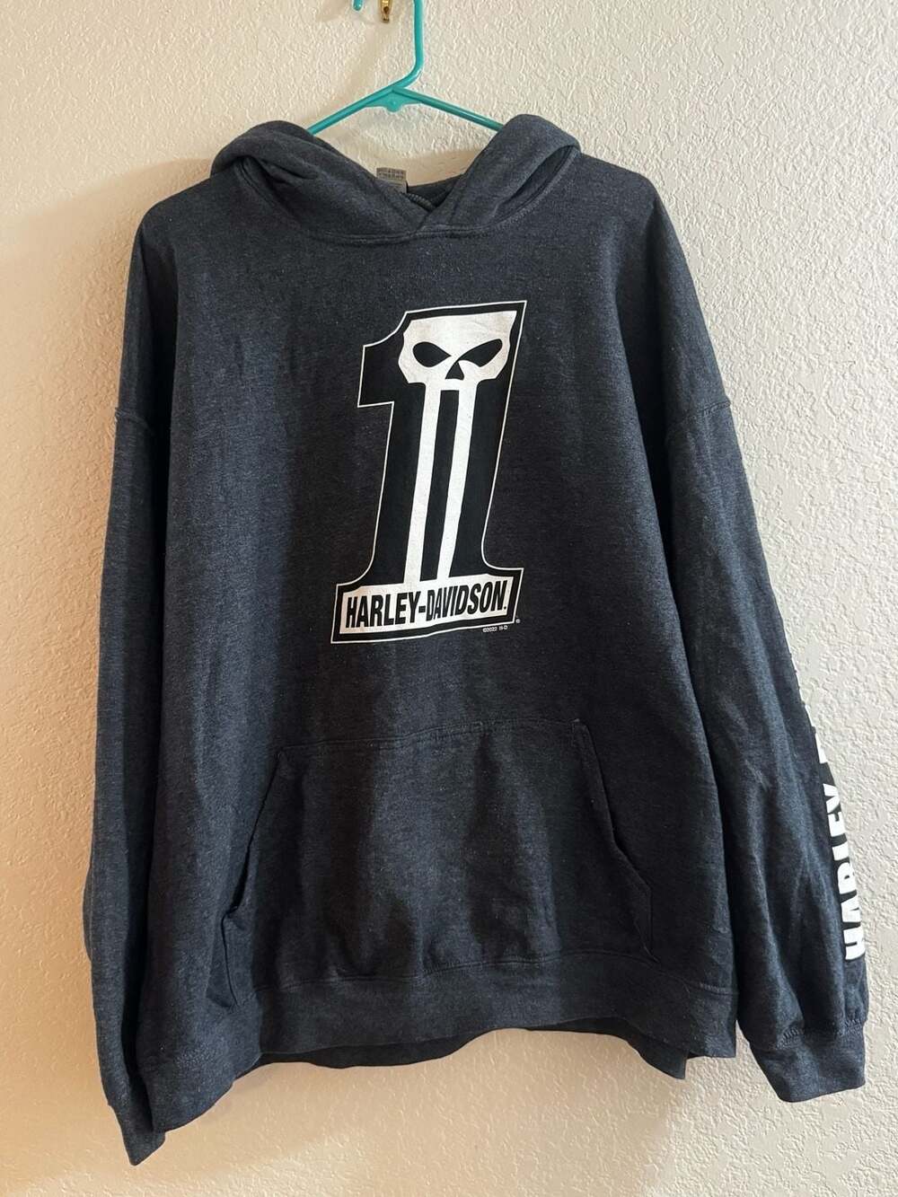 Harley Davidson Woodstock Dk Grey Hoodie Willie G #1 Skull Graphic  Men's 2XL
